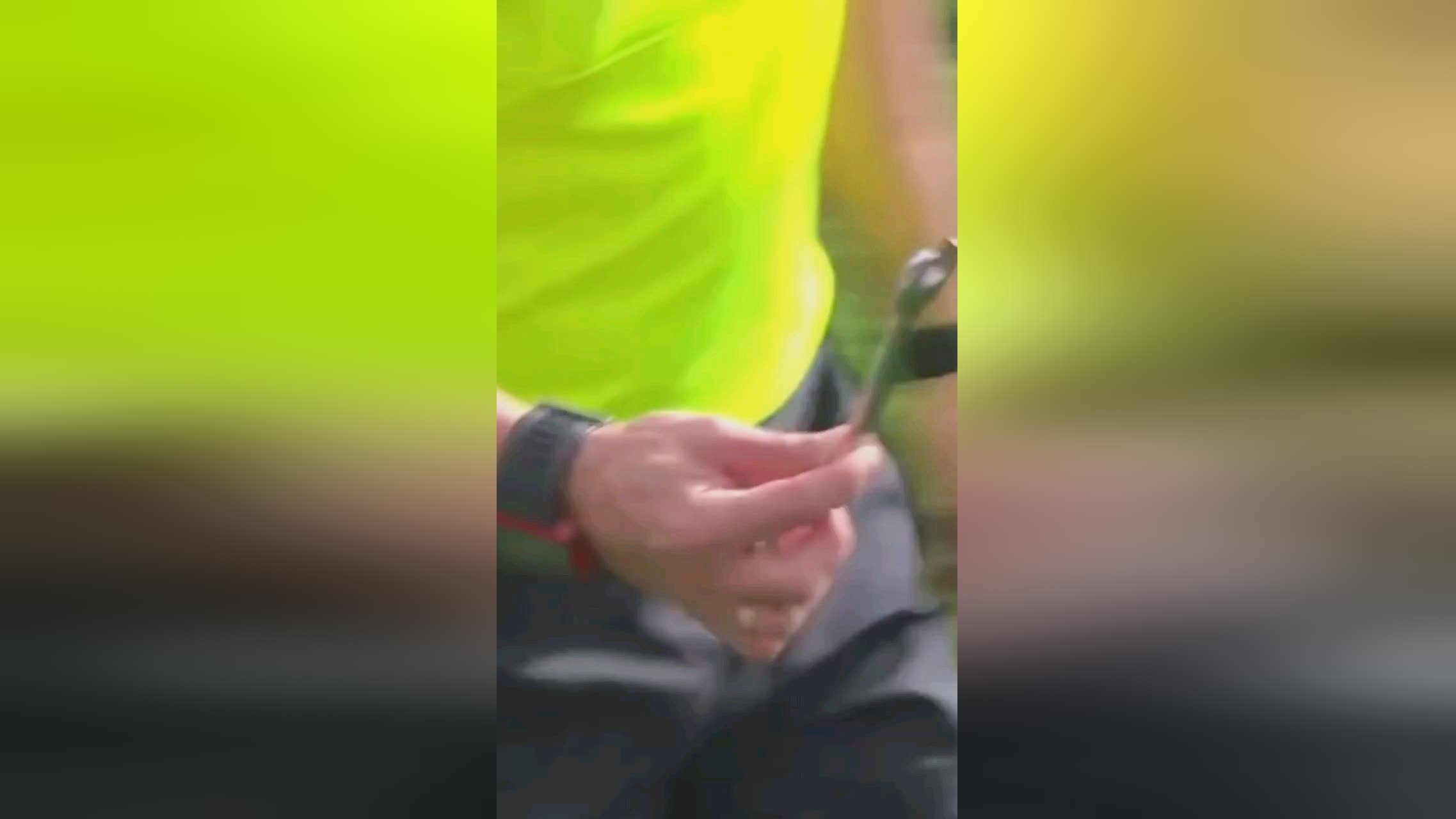 种长传支